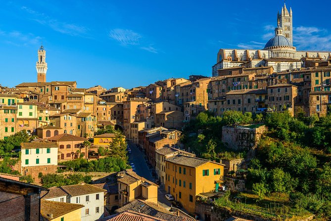 Skip the Line: Siena Duomo and City Walking Tour - Why this short Siena tour works well