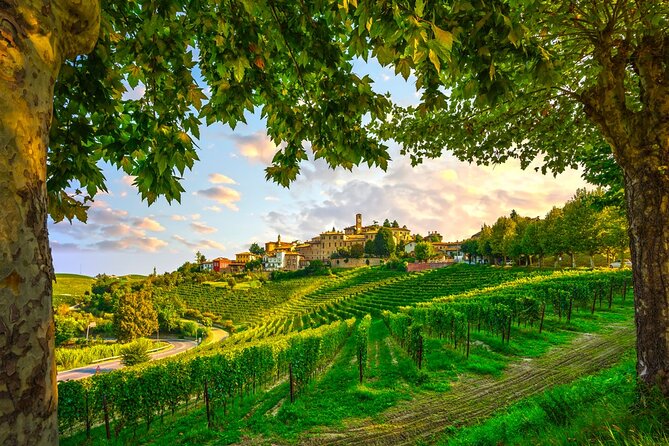 Small-Group Barolo Wine Tasting, Alba & UNESCO Piedmont Hills - The winery visit and what Barolo really means
