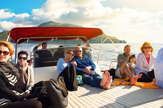 Small Group Boat Tour: Day Cruise from Sorrento to Capri - Timing, comfort, and group size