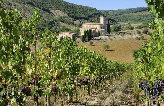Small-Group Brunello di Montalcino Wine-Tasting Trip from Siena - Key points at a glance