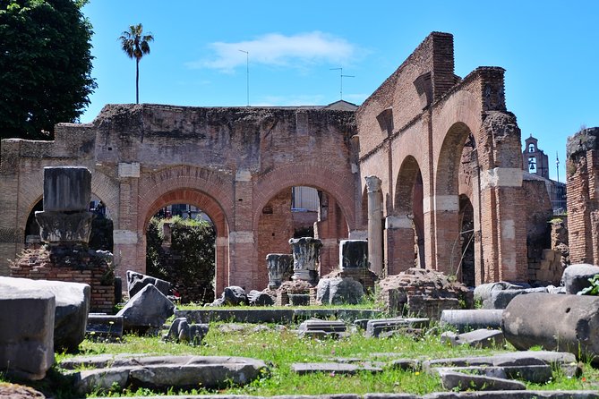 Small Group Colosseum, Roman Forum & Palatine Hill Tour - Palatine Hill and the beginnings of Rome