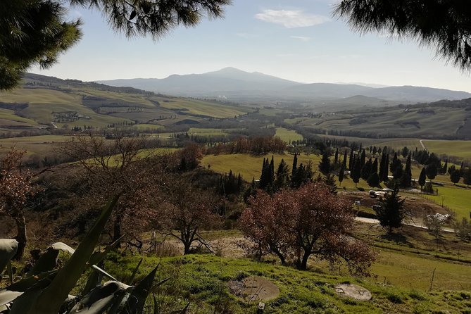 Small-Group Montepulciano and Pienza Day Trip from Siena - A farm lunch with cheese and valley views