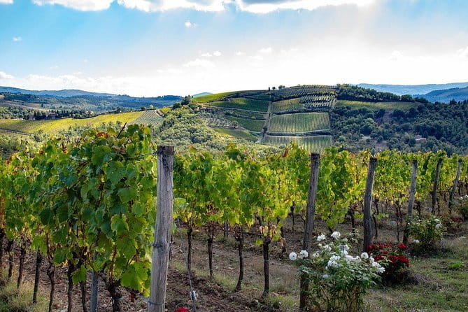 SMALL-GROUP Wine Safaris: Tuscan Wine Tasting Tours from Florence - The details that matter most