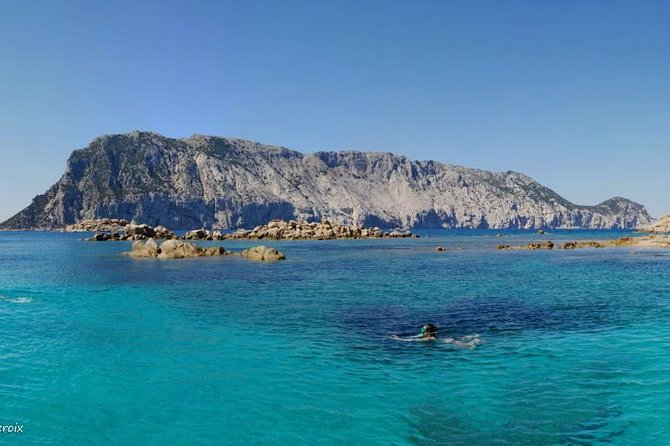 Snorkeling marine protected area Tavolara - A four-hour introduction to Tavolara’s protected waters