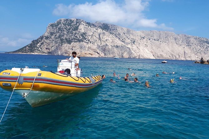Snorkeling marine protected area Tavolara - Is $84.69 a fair price?
