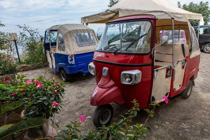 Sorrento Farm by Tuk Tuk: Cheese, Limoncello & Hands-On Pizza - The tuk tuk ride is part of the charm