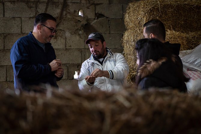 Sorrento Farm by Tuk Tuk: Cheese, Limoncello & Hands-On Pizza - Who should book this tour?