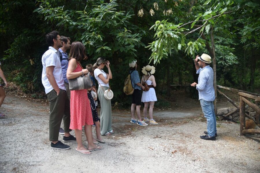 Sorrento: Farm Tour with Cheese Tasting & Pizza Making Class - Making your own pizza before lunch