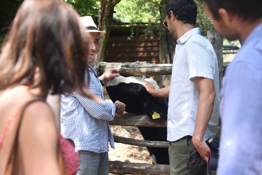 Sorrento: Farm Tour with Cheese Tasting & Pizza Making Class - The views and the pace of the four hours