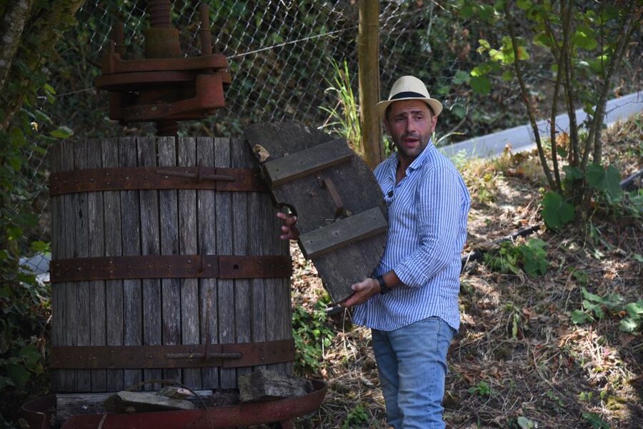 Sorrento: Farm Tour with Cheese Tasting & Pizza Making Class - Is the tour good value?