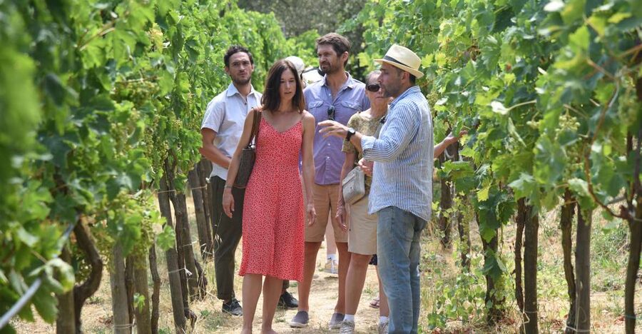 Sorrento: Farm Tour with Cheese Tasting & Pizza Making Class - Walking through lemons, grapes, olives, and seasonal crops