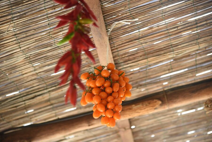 Sorrento: Pizza Lesson, Wine, and Limoncello at a Local Farm - What you eat after making pizza