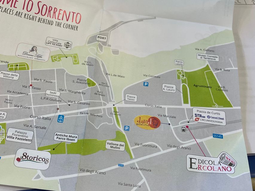 Sorrento: Skip-the-Line Pompeii Express Tour by Train - Starting at Sorrento station at 9:30 or 10:15