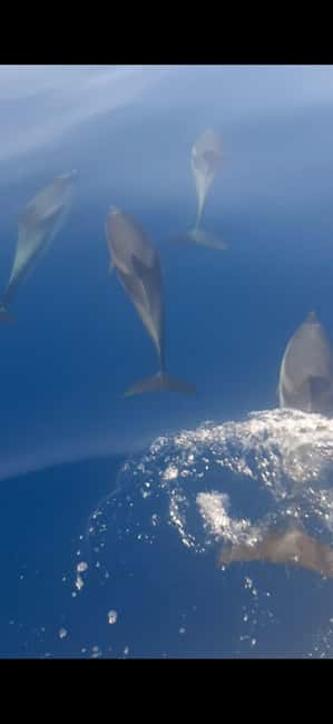 Sunset tour in search of dolphins with aperitif - Naxos Bay and the coast beneath Mount Etna