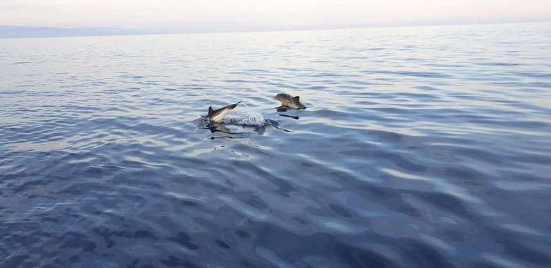 Sunset tour in search of dolphins with aperitif - Meeting in Giardini Naxos at Via Vulcano 7
