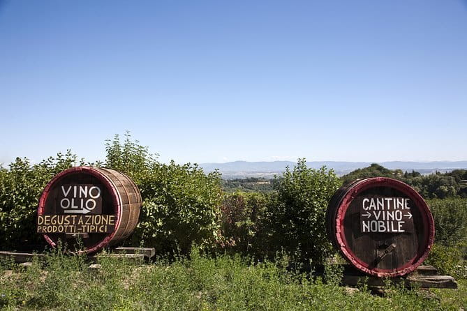 Super Chianti 2 wineries & meat feast @ Dario Cecchini—max 8 pp - Practical details that can affect your day