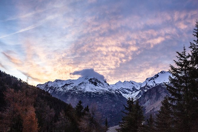 Swiss Alps Bernina Red Train and St.Moritz Tour from Milan - Guides can shape the day