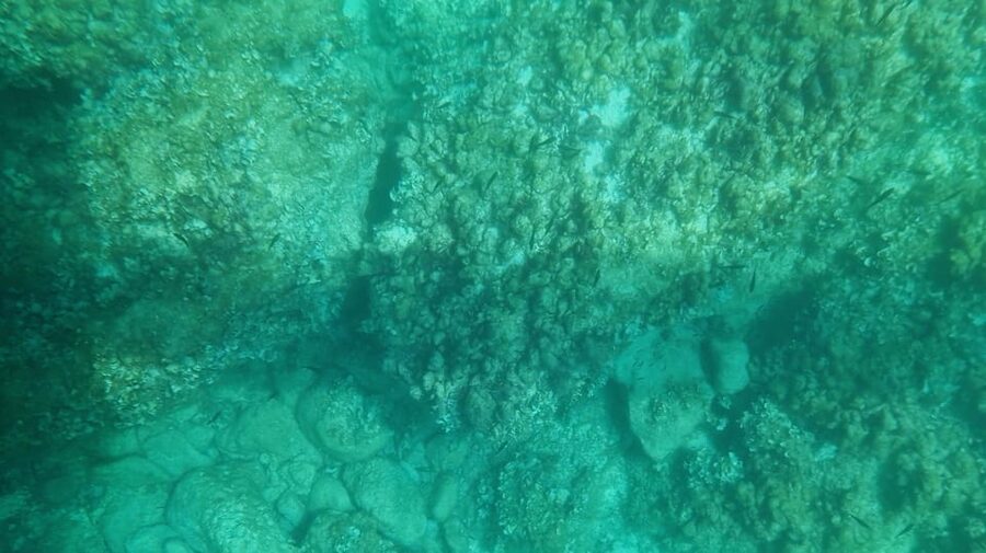 Syracuse: Coast and Sea Caves Full Transparent Boat Tour - Key points to know before booking