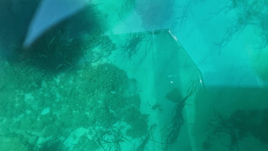Syracuse: Coast and Sea Caves Full Transparent Boat Tour - Weather can change the whole outing