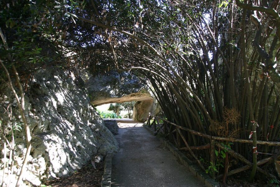 Syracuse: Neapolis Archaeological Park Small Group Tour - Latomie del Paradiso: a quarry turned garden
