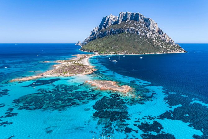 Tavolara Boat Tour and Snorkeling - Why this four-hour trip works so well