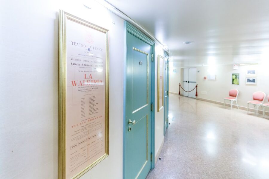 The Majestic Teatro La Fenice: Guided Tour in Venice - Price, group feel, and overall value