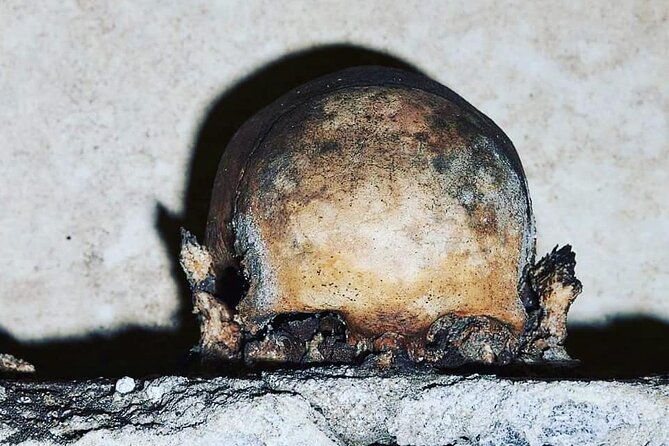 The Skull with the Ears: the Cult of the Dead in the Church of S. Luciella - Key points to know before you go