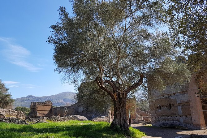 Tivoli Villas Full Day Trip From Rome with Lunch - How much walking and standing should you expect?