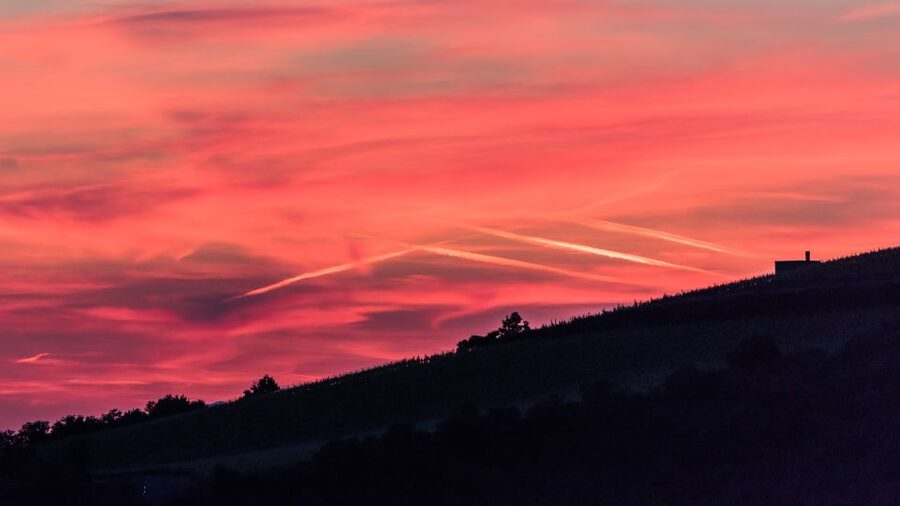 Total Immersion Wine Tour in Chianti - How the two-hour timing feels