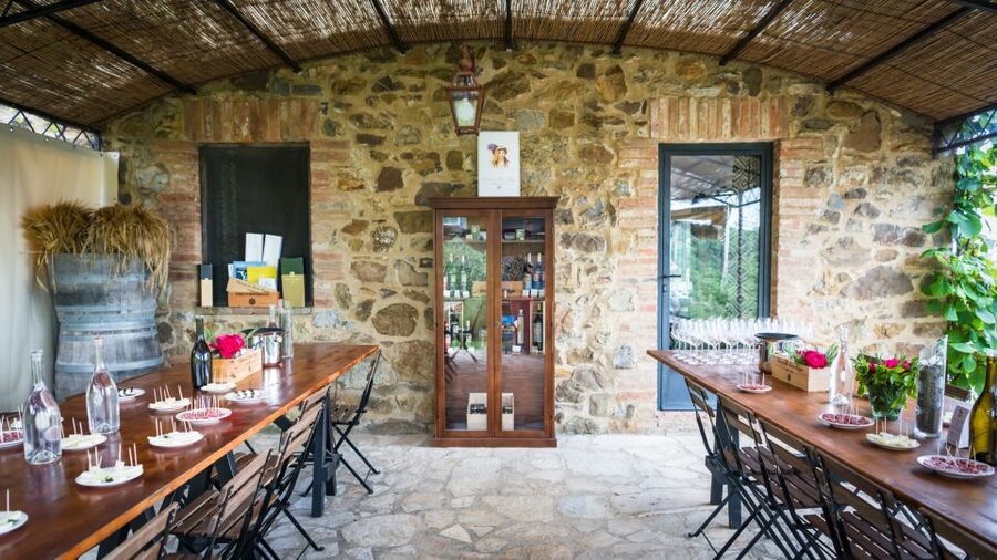 Total Immersion Wine Tour in Chianti - Inside the cellar: from harvest to aging