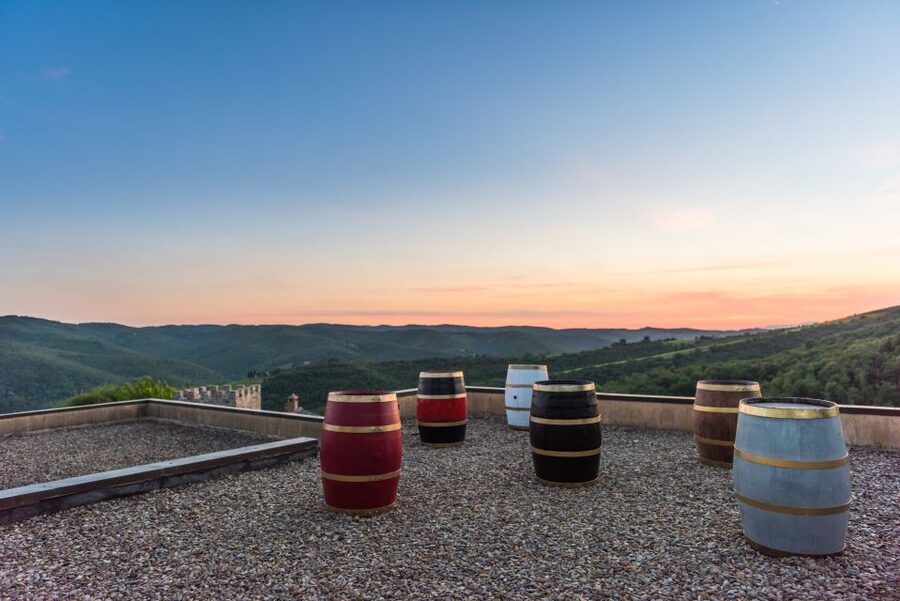 Total Immersion Wine Tour in Chianti - The tasting: five estate products and local snacks