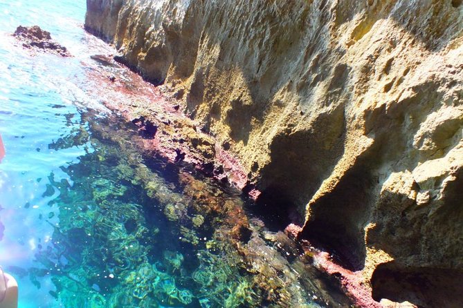 Tour of the island of Ortigia and exploration of sea caves with baths. - Guides make the difference