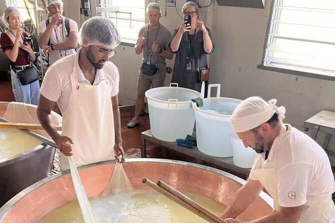 Tour Parmigiano Reggiano dairy and Parma ham - From fresh milk to aged cheese