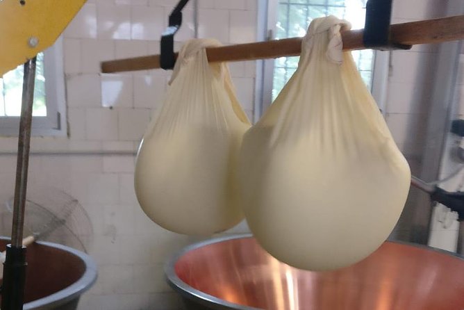 Tour Parmigiano Reggiano dairy and Parma ham - Guides who add humor and local insight