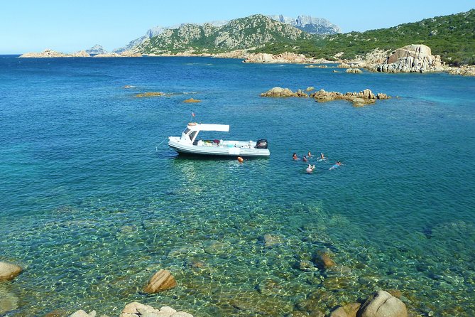 Tour to Figarolo Island with the possibility to observe dolphins - Capo Figari and Cala Moresca