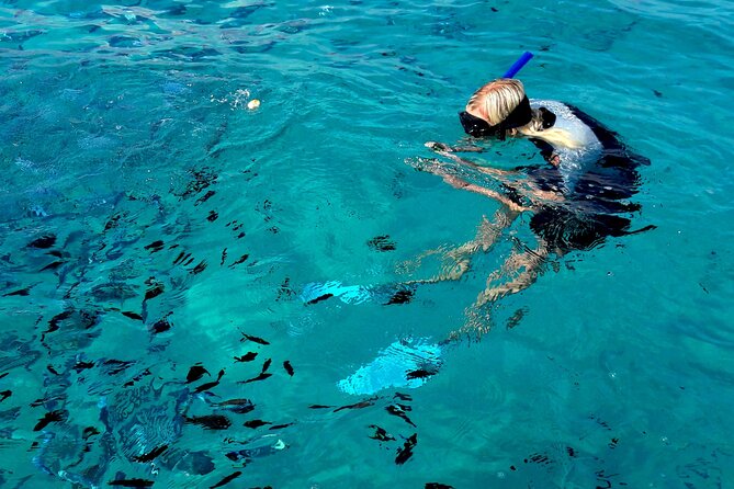 Tour to Figarolo Island with the possibility to observe dolphins - What the $72.59 price really buys