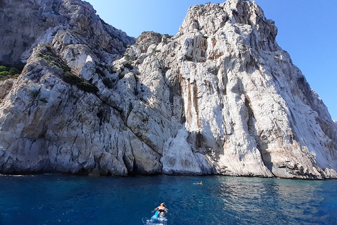 Tour to Figarolo Island with the possibility to observe dolphins - Practical advice for a smoother outing