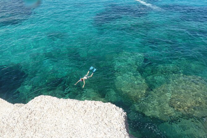 Tour to Figarolo Island with the possibility to observe dolphins - Figarolo Island and the first swim