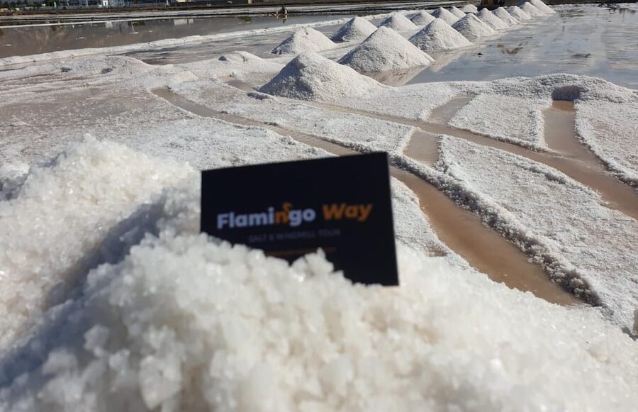 Trapani: Salt Pans Sunset Tour and Flamingo Way - The drawbacks to know before booking