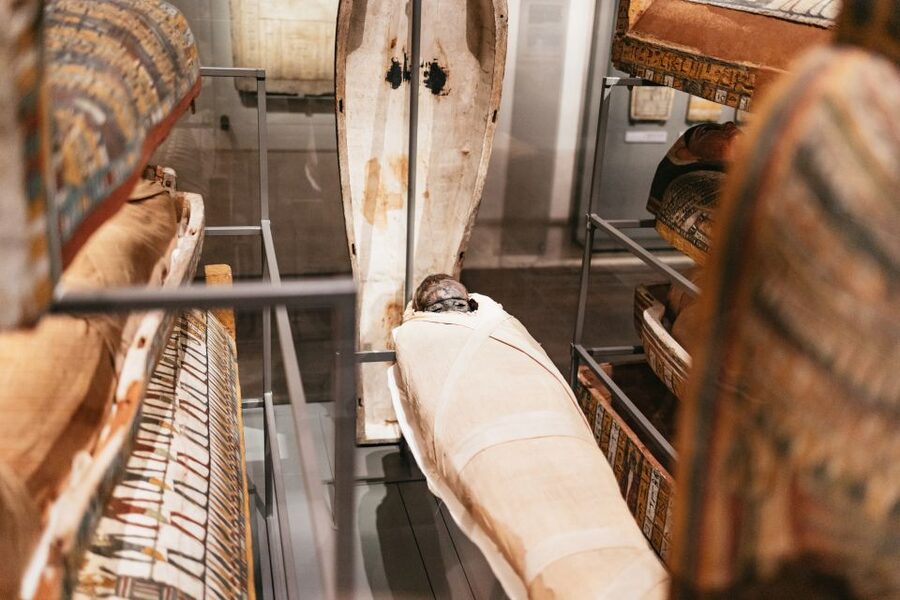 Turin: Egyptian Museum Priority Access Guided Tour - Ramses II and the royal display