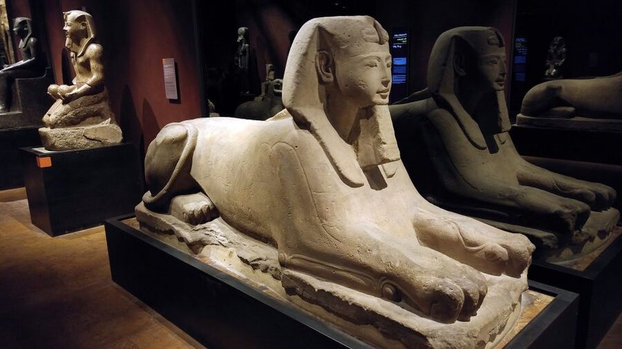Turin: Guided Egyptian Museum Tour - Key points at a glance