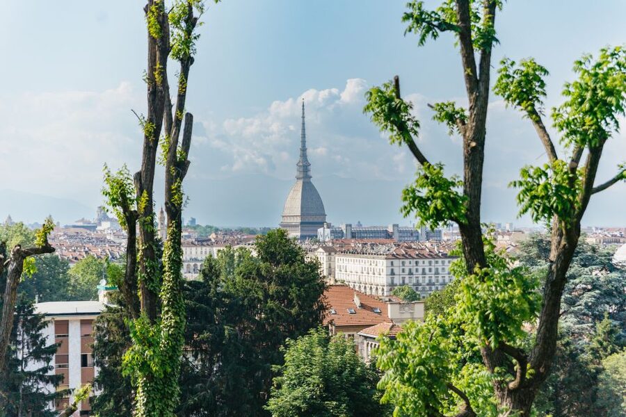 Turin: Hop-on Hop-off Bus Tour with 24 or 48-Hour Ticket - Key points to know before you board