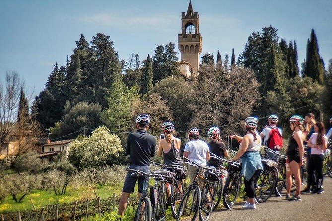 Tuscany Bike Tours Through the Chianti Hills with Wine Tasting - Riding through olive groves and vineyards