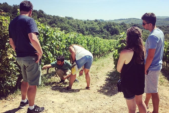 Tuscany Vespa Tours Through the Hills of Chianti - What the $193.49 Price Really Covers