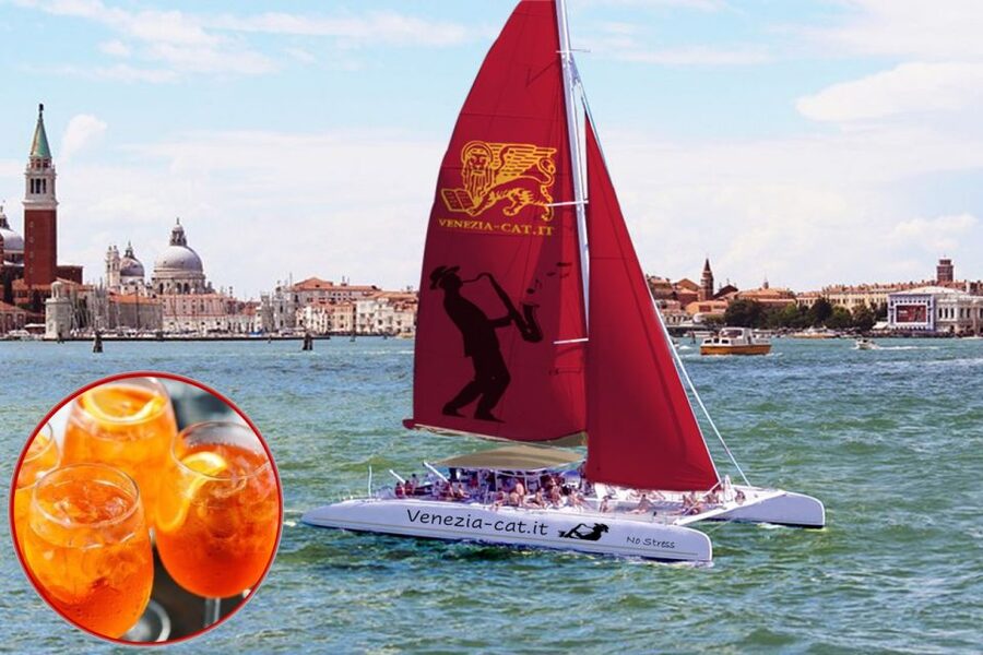 Venice: Lagoon Catamaran Cruise with Music and Drinks - Who will enjoy this Venice cruise most?
