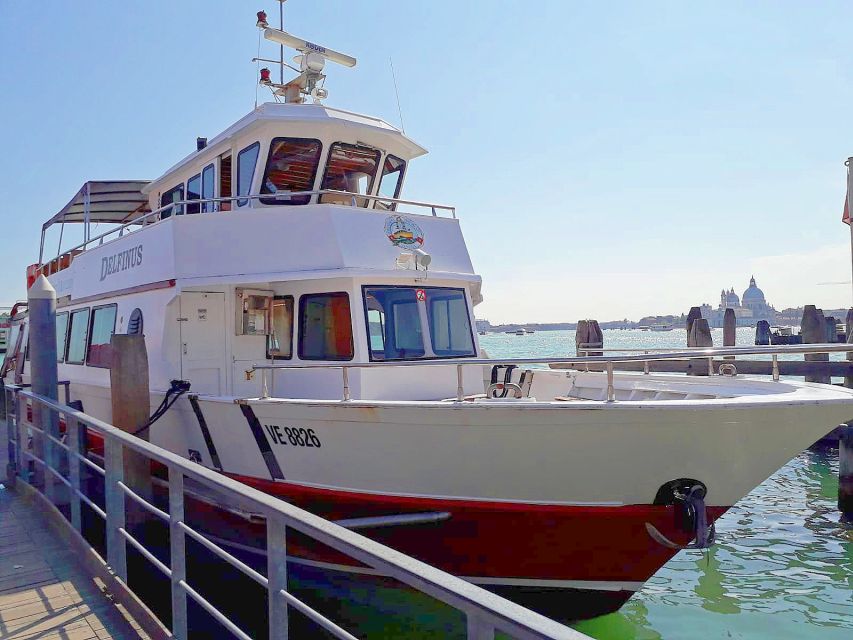 Venice: Murano & Burano Panoramic Boat Tour w/ Glassblowing - The panoramic boat ride from St. Mark’s