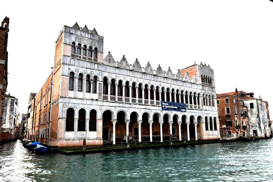 Venice: Natural History Museum Entry Ticket - Key points to know before you go