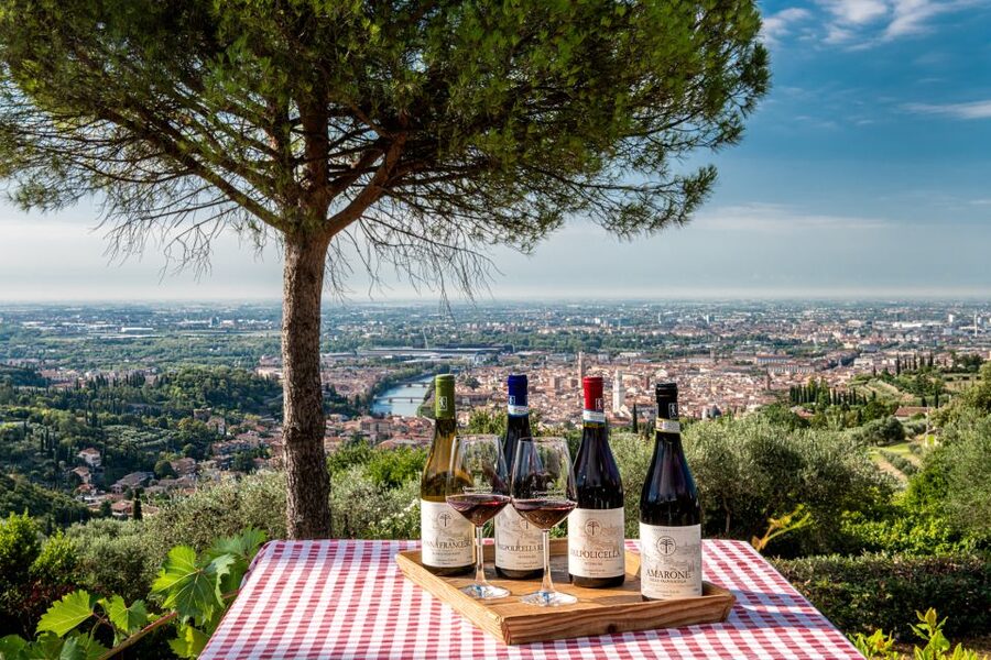 Verona: Wine Tasting with Snacks and Panoramic Views - Cold cuts, cheeses, and a proper aperitivo