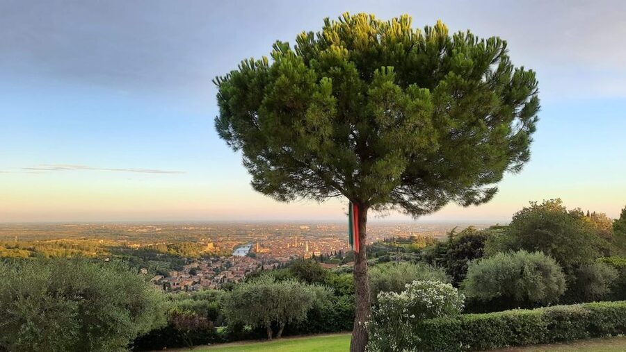 Verona: Wine Tasting with Snacks and Panoramic Views - The panoramic terrace is the real prize