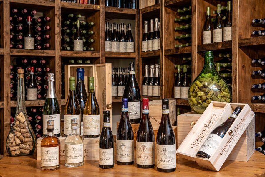 Verona: Wine Tasting with Snacks and Panoramic Views - Who will enjoy this Verona wine tasting?